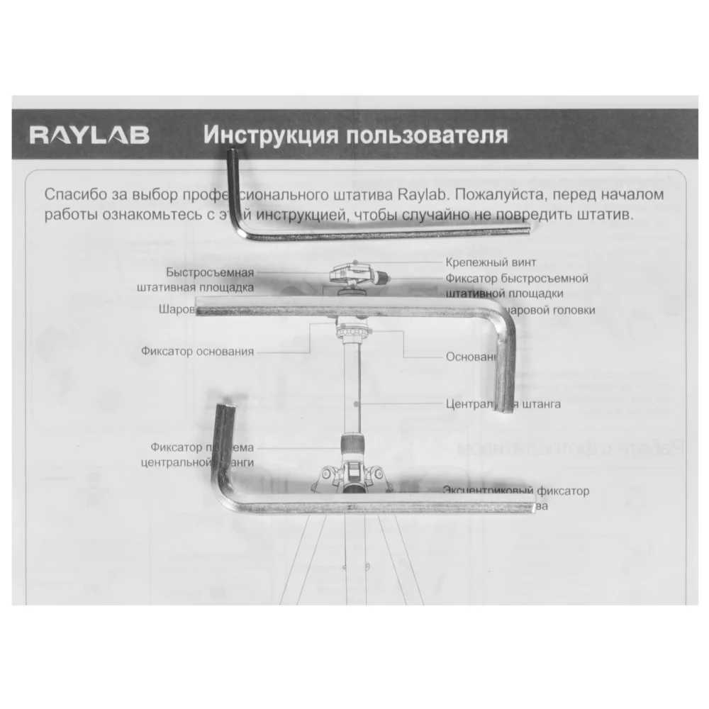 Штатив Raylab Pro 70 черный Штатив Raylab Pro 70 черный